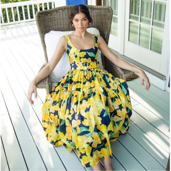 Hutch Dresses & Skirts - NWT NEW Anthropologie Hutch Alice Midi Dress Size 2